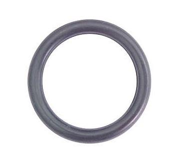 
                                ANEL BICO INJETOR MB1113/1313/1513/2013/2313/O362/HPN