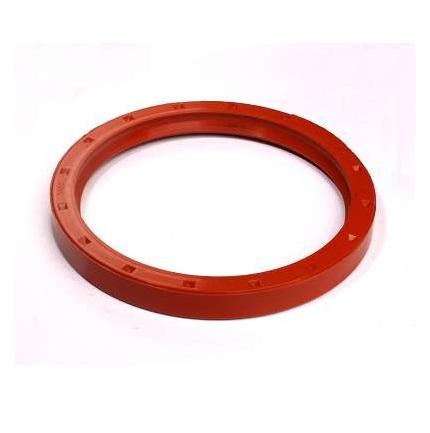 
                                RETENTOR VIRABREQUIM TRASEIRO MWM 229/X10