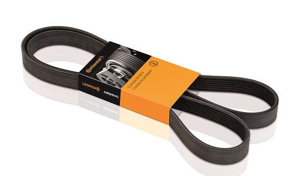 
                                CORREIA 8PK1475